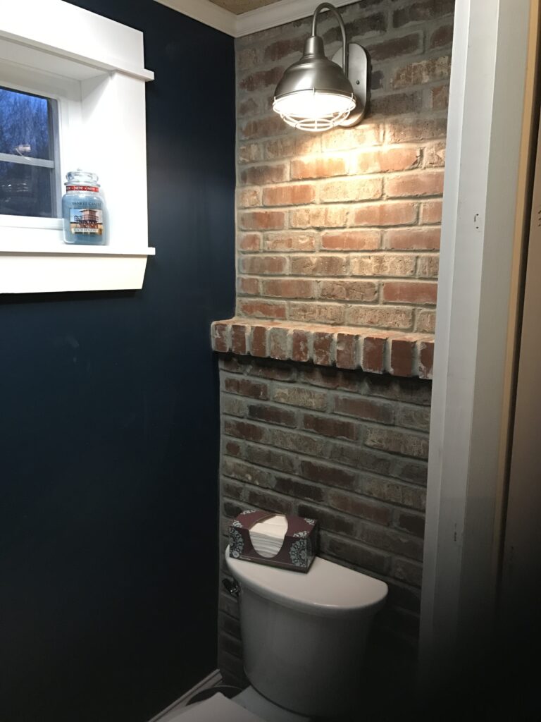 brick veneer behind the flush in the water closet